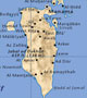 طرح تغییر ساختار شیعی بحرین فاش شد