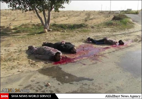 داعش ۱۰ نفر از اهالی سیناء را ذبح کرد + تصاویر18+
