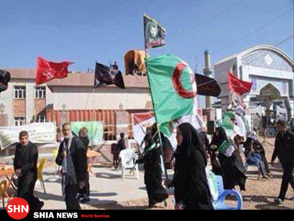 اتحاد پرچم های شیعیان کشورهای مختلف در حرکت زائران اربعین حسینی+تصاویر