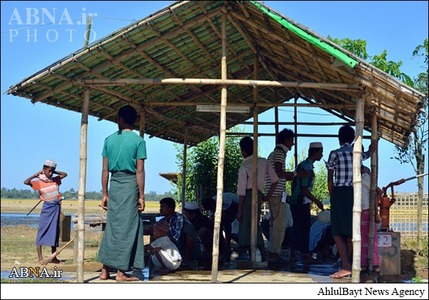 مسلمانان آواره روهینگیا در 