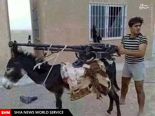 تصویر/سلاح الاغی برای مقابله با داعش!