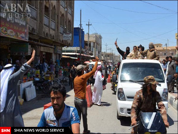 آیا داعش یک نظامی ایرانی را دار زد؟ + تصاویر