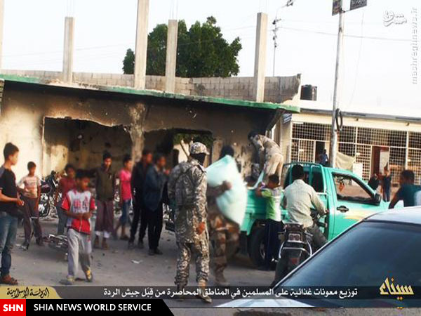فعالیت‌های اجتماعی داعش در شبه جزیره سینا+ تصاویر