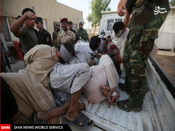 دستگیری دهها داعشی در شمال سامراء/ تصاویر