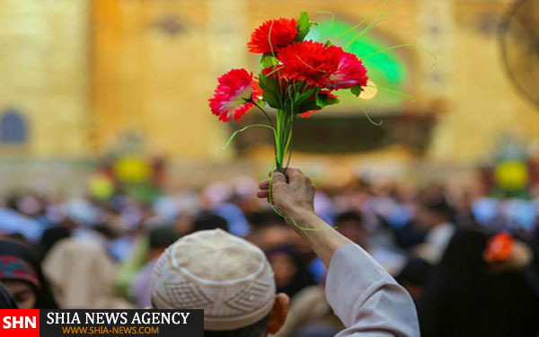 تشرف میلیون‌ها شیعه با شاخه‌های گل به حرم امیرالمومنین(ع) + تصاویر
