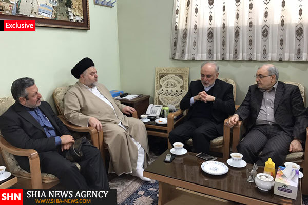دیدار رئیس سازمان انرژی اتمی ایران با نماینده آیت الله سیستانی