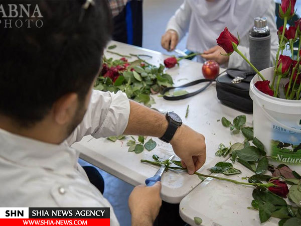تصاویر هدیه شاخه گل شیعیان به غیرمسلمانان استرالیایی