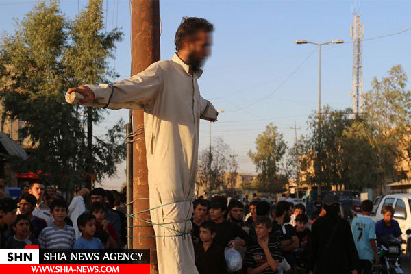 داعش 4 نفر را به صلیب کشید+تصاویر(+16)
