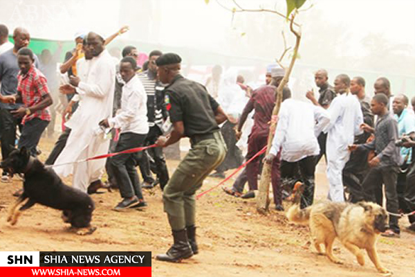 استفاده پلیس نیجریه از سگ برای ترساندن زنان شیعه + تصاویر