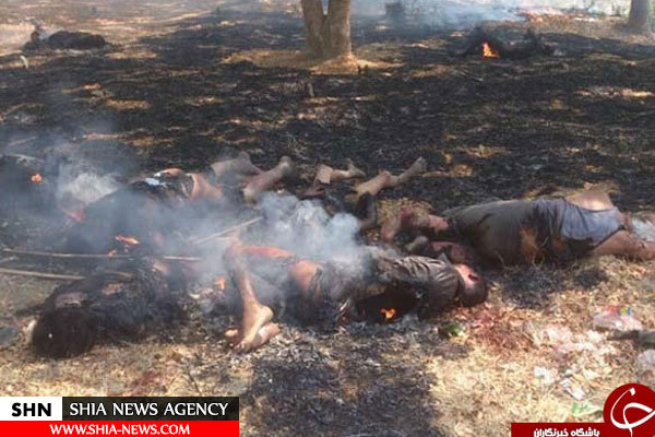 تصاویری رقت بار از اجساد سوخته مسلمانان میانمار