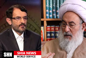 واکنش عضو مجمع تشخیص مصلحت به شهادت کودک شیعی