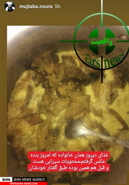 ماجرای خوردن گوشت گربه و کلاغ مرده در جنوب ایران چیست؟