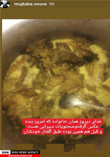ماجرای خوردن گوشت گربه و کلاغ مرده در جنوب ایران چیست؟