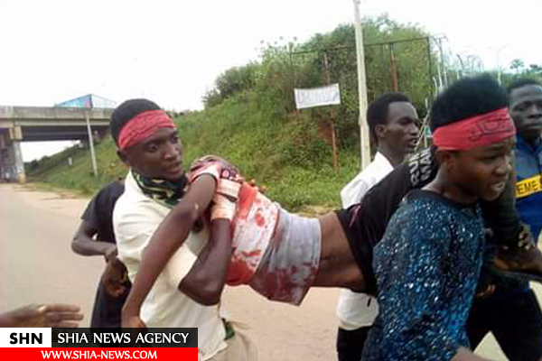 حمله مجدد ارتش نیجریه به راهپیمایی اربعین