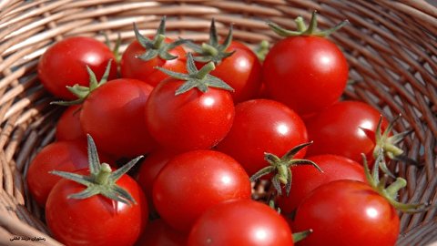۵ دلیل خوب برای این که گوجه‌فرنگی بیشتری میل کنید