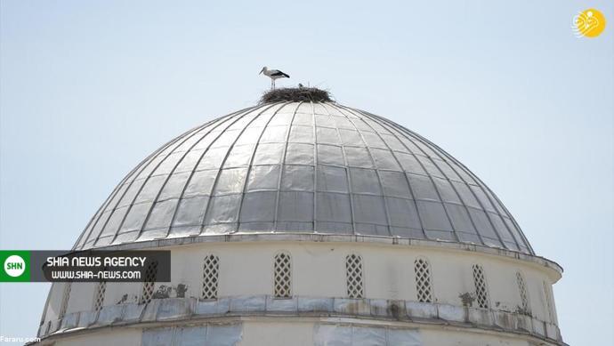 گنبد یک مسجد لانه لک‌لک‌ها