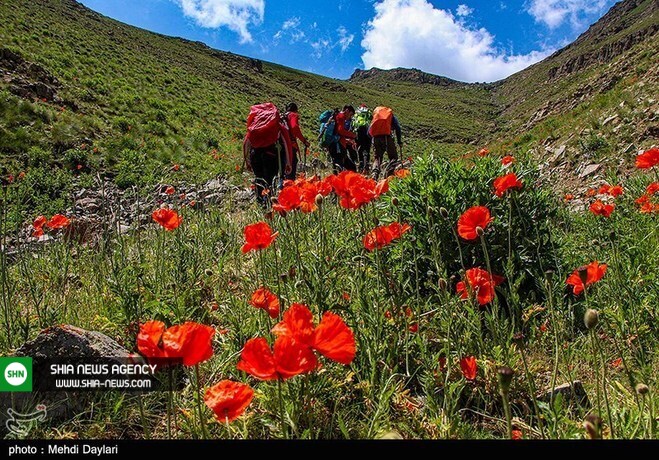 تصاویری زیبا از منطقه ای در شمال آذربایجان شرقی