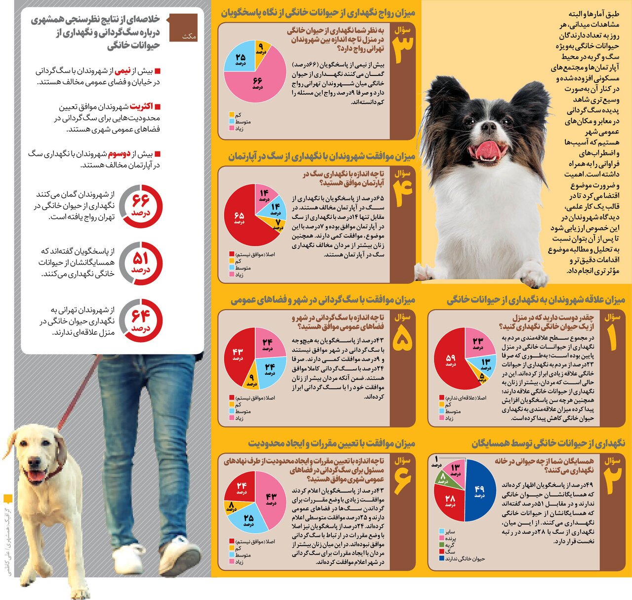 نتایج جالب یک نظرسنجی درباره سگ‌گردانی