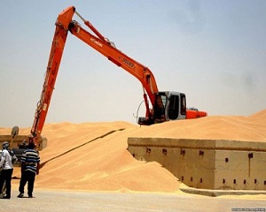 4.4 مليون عراقي يواجهون شبح انعدام الغذاء والعراق فقد ثلث إنتاجه من الحبوب