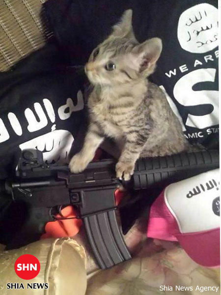 تصاویر متفاوت از داعش/ اوج مهربانی آدمکش ها