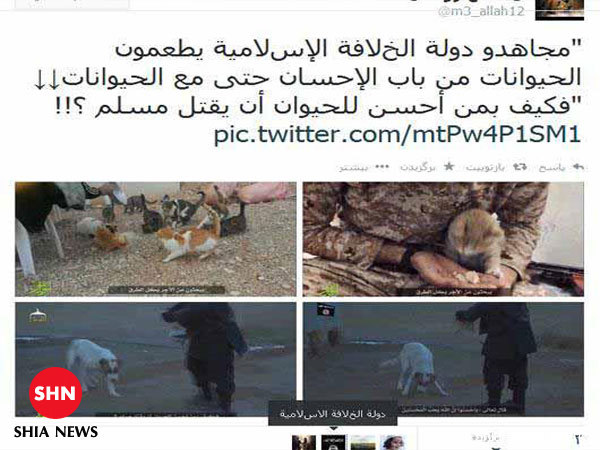 تصاویر متفاوت از داعش/ اوج مهربانی آدمکش ها