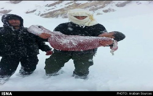 تصویر/ آوارگان سوریه تحت فشار جنگ و سرما