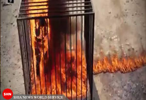 داعش خلبان اردنی را زنده زنده سوزاند + تصاویر (+18)