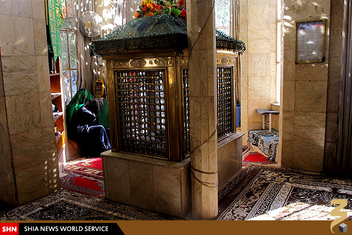 عالمي كه پناگاه دوستداران اهل بيت در كربلاست +تصاویر عالمي كه پناگاه دوستداران اهل بيت در كربلاست +تصاویر