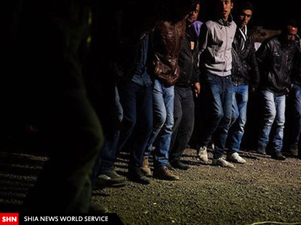 تصویر/ پایکوبی شبانه در عین العرب