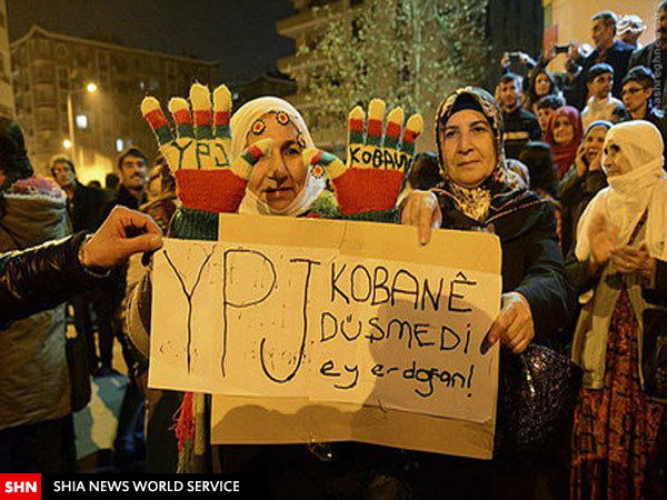 تصویر/ پایکوبی شبانه در عین العرب