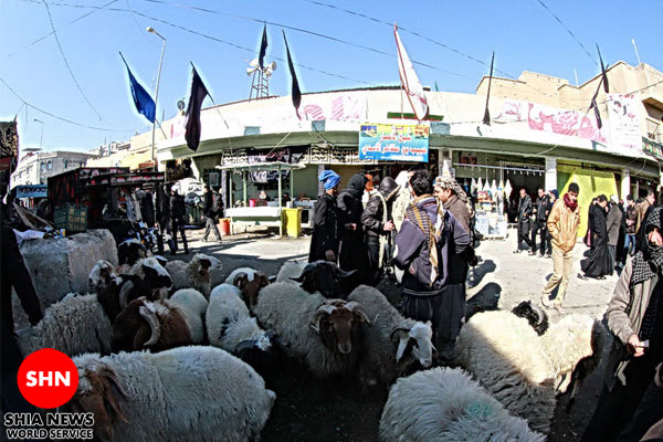 تصاویر/ پذیرایی صلواتی تصاویر/ پذیرایی صلواتی