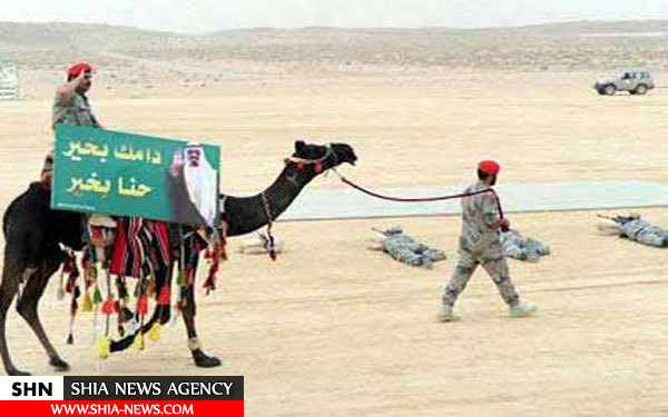 توان نیروهای مسلح ایران و عربستان+ تصاویر