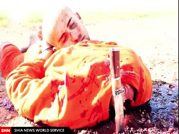 تصاویر/ یک عضو داعشی قبرش را کند و سر بریده شد (۱۸+)