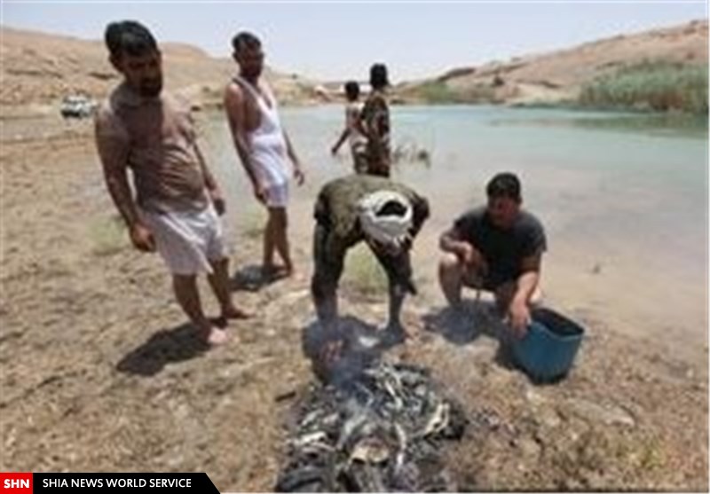 رزمندگانی که خون خود را برای آزادی عراق نذر کردهاند/تصاویر رزمندگانی که خون خود را برای آزادی عراق نذر کردهاند/تصاویر