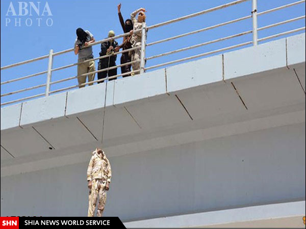 آیا داعش یک نظامی ایرانی را دار زد؟ + تصاویر