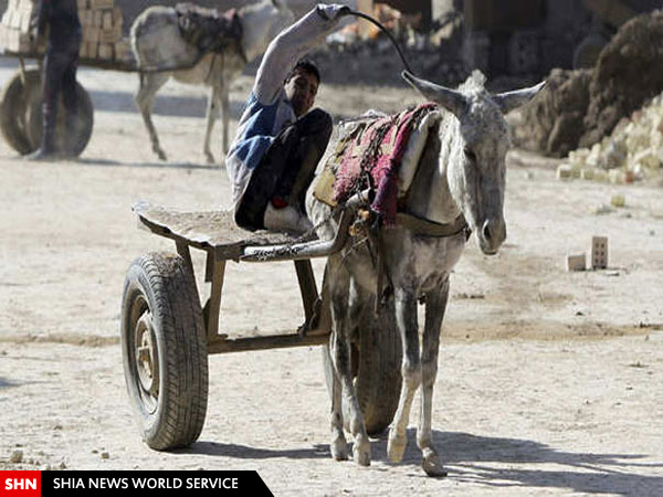 تصاویر تلاش عراقی ها برای زندگی و تحمل داعش در مناطق اشغالی تصاویر تلاش عراقی ها برای زندگی و تحمل داعش در مناطق اشغالی