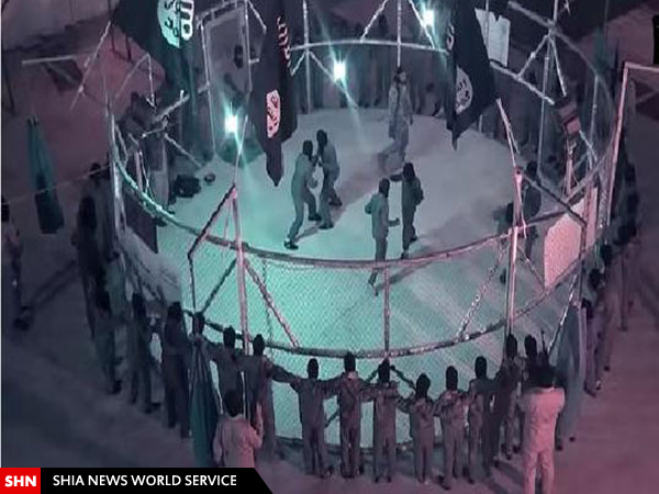 لیگ مبارزه آزاد داعش/ تصاویر