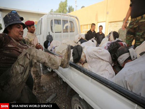 تصاویر داعشی های سعودی با تجهیزات بمب گذاری در سامرا