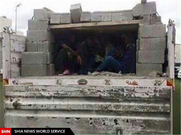 کشف موش‌های داعشی در کربلا + تصاویر