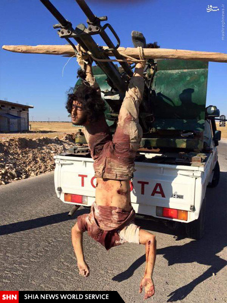 اعدام دو عضو داعش بدست النصره در حماه + تصاویر