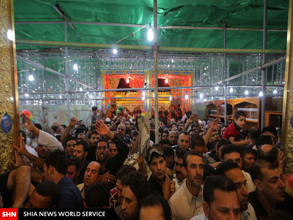 تصاویر عزاداری و احیا درحرم امام علی(ع)