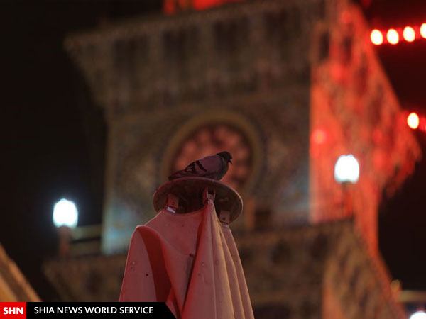 تصاویر عزاداری و احیا درحرم امام علی(ع)