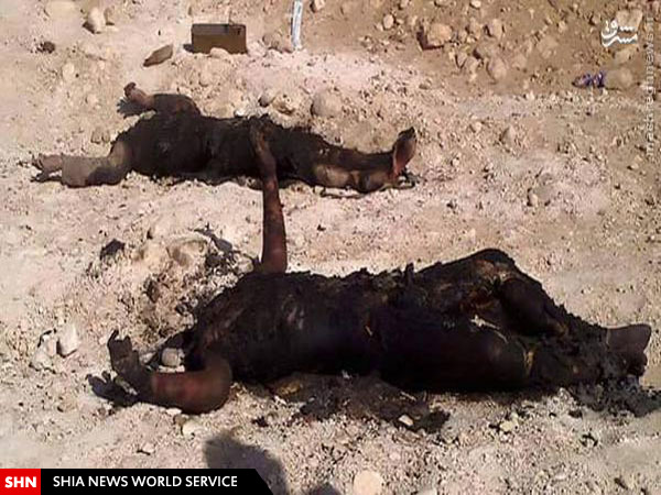 بازپس گیری منطقه جزل از سوی ارتش سوریه/ تصاویر و نقشه