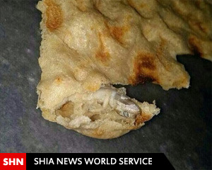 مارمولک در نان سنگک / تصویر