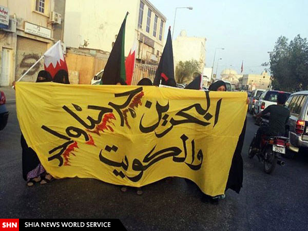 تصاویر تظاهرات در بحرین و هند در اعتراض به کشتار شیعیان