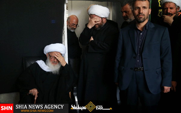 تصاویر پیاده روی آیت الله وحید خراسانی در سالروز شهادت امام جعفر صادق(ع)