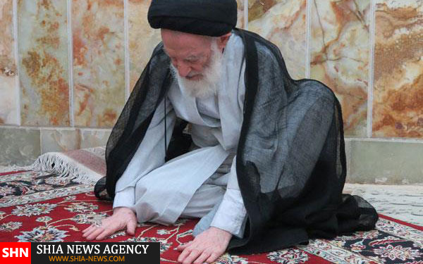 حضور آیت الله شبیری زنجانی بر سر مزار پدرشان + تصاویر