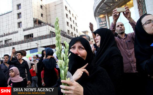 تصاویر گلباران حرم مطهر رضوی تصاویر گلباران حرم مطهر رضوی