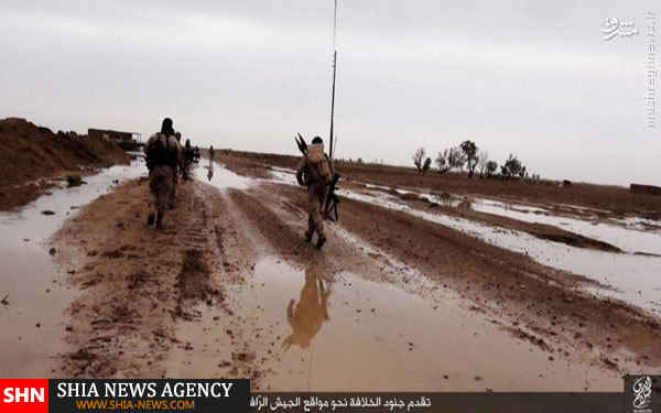 ادامه درگیریها در غرب سامرا + تصاویر