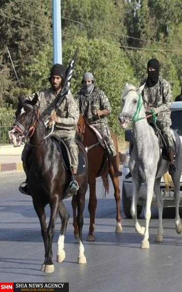 فرار داعشی ها با الاغ و اسب + تصاویر
